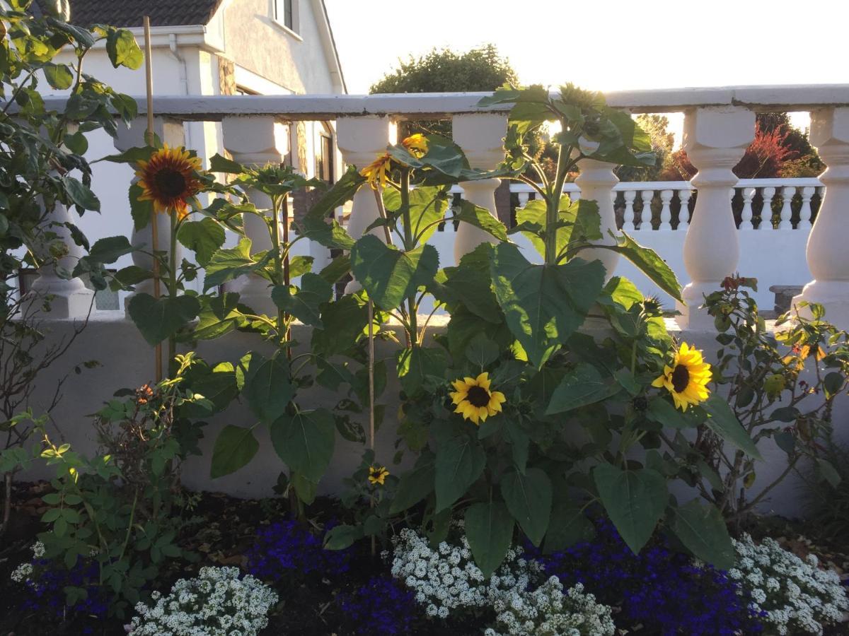 Seacrest B&B Galway Exterior photo