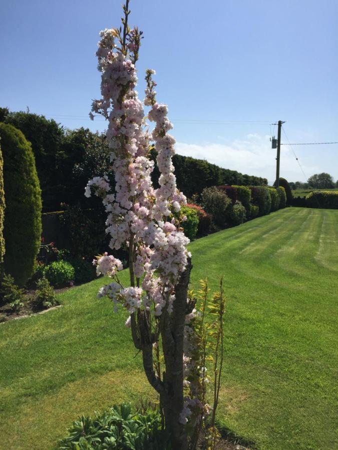 Seacrest B&B Galway Exterior photo